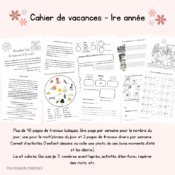 Mon cahier d'été - 1re année