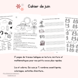 Cahier de consolidation de juin- 1re année