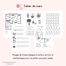 Cahier de consolidation de mars - 1re année