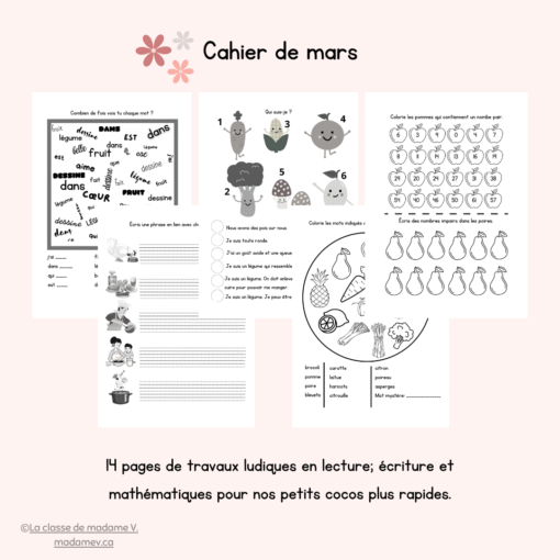 Cahier de consolidation de mars - 1re année