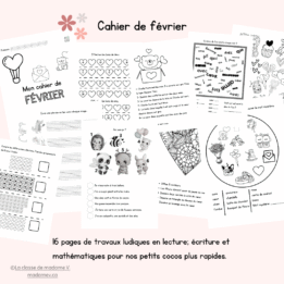 Cahier de consolidation de février - 1re année