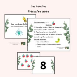 Les insectes - Nombres de 0 à 10.