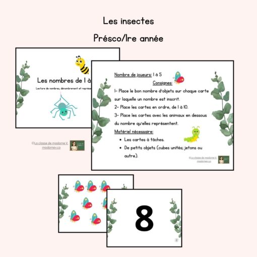Les insectes - Nombres de 0 à 10.