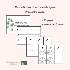 Moticité fine - Niveaux 1 et 2