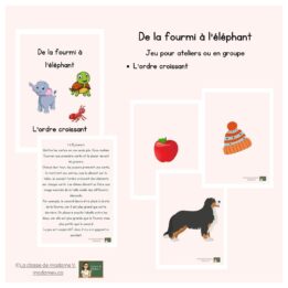 De la fourmi à l'éléphant