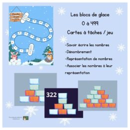 Atelier/jeu : Les blocs de glace - 2e année/3e année