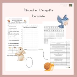 Résoudre - L'enquête