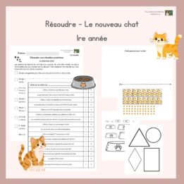 Résoudre - Le nouveau chat