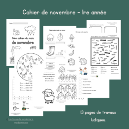 Cahier de consolidation - novembre - 1re année