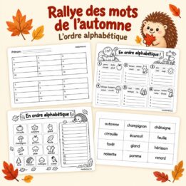Rallye + consolidation - L'ordre alphabétique - 2e et 3e années